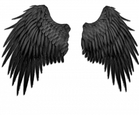 WINGS