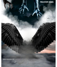 Wings cb background free download