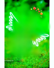 Wings cb editing background