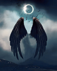 Wings free cb background totalpnag