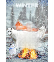 Winter cb background