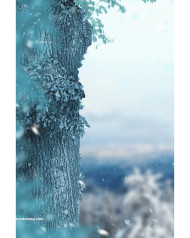 Winter christmas background