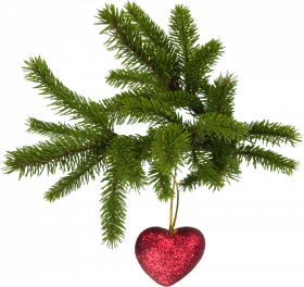 Winter christmas png images