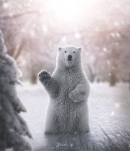 Winter wolf  editing background