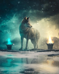 Wolf  editing background