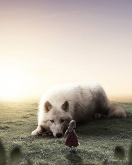 Wolf photoshop editing background