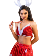 Women santa claus png images