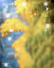 Yellow blur photoshop cb editing background