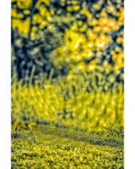 Yellow Cb Background For Snapseed